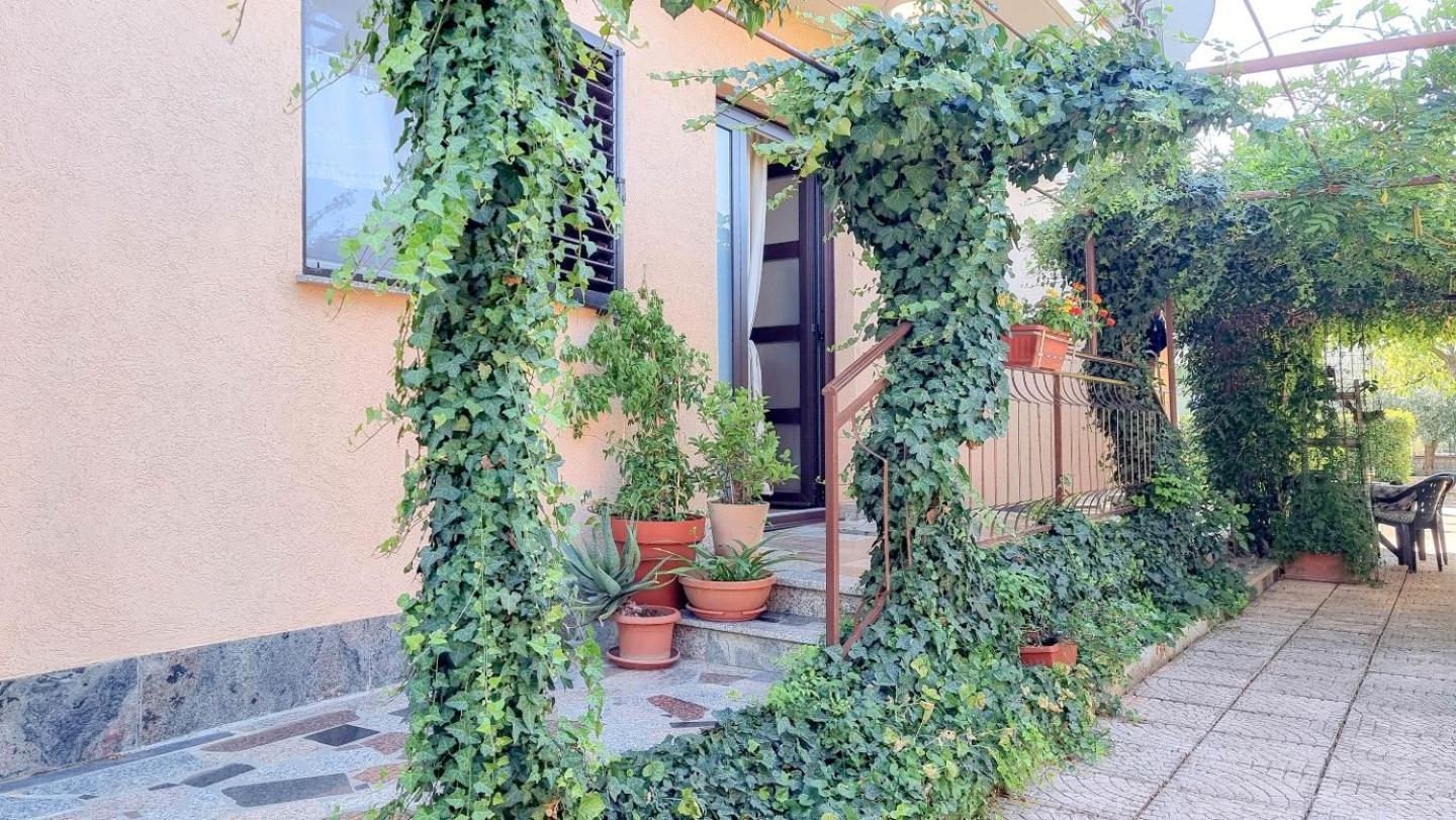 Apartments Maria Novigrad Istria Esterno foto